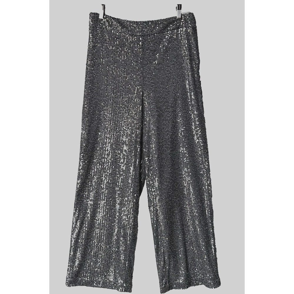 LOFT Pants Womens 4 Slim Fit Sequin Lined Silver Festival Party Chic Glam